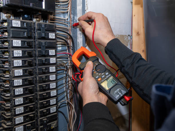 Best Local Electrician Companies  in Lake Geneva, WI